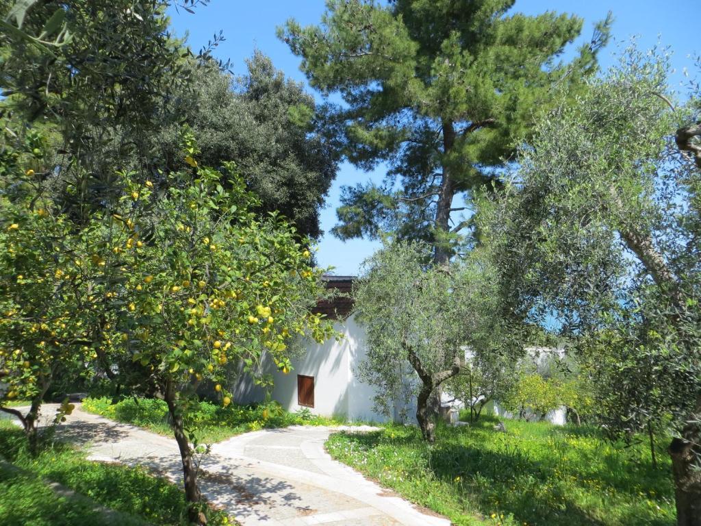 Villaggio Hotel Ripa Rodi Garganico Dış mekan fotoğraf