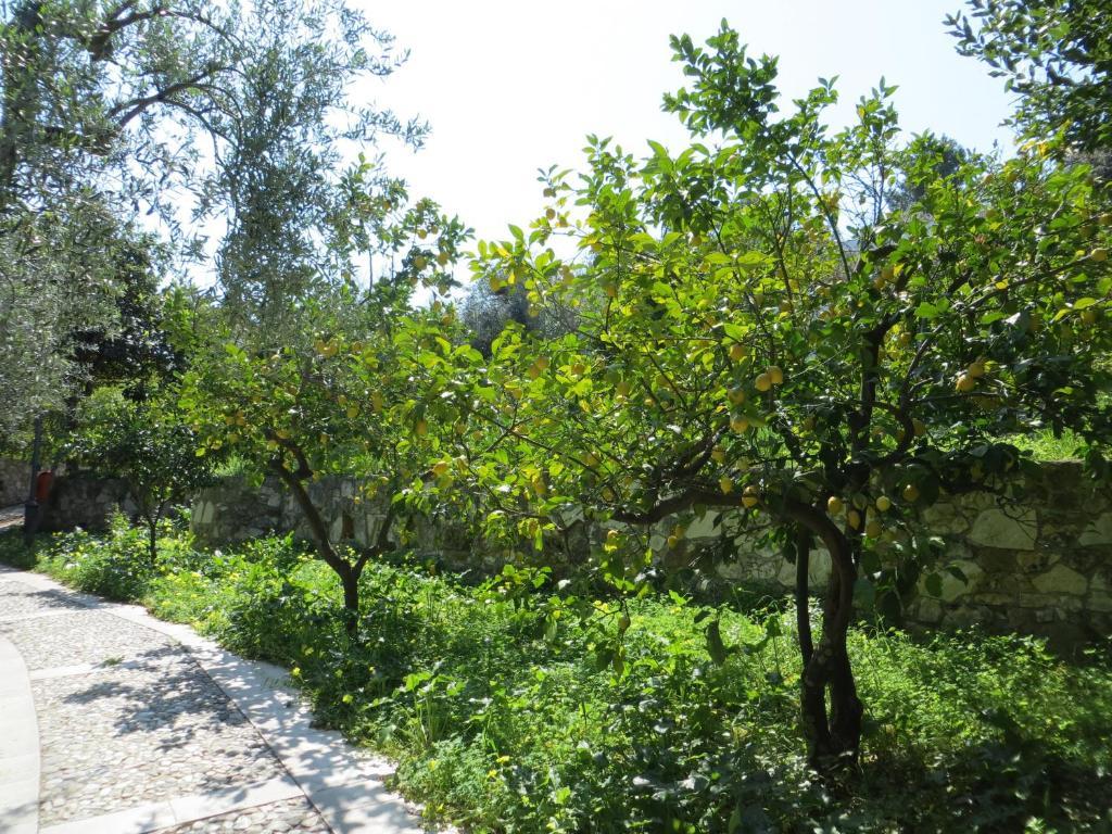 Villaggio Hotel Ripa Rodi Garganico Dış mekan fotoğraf